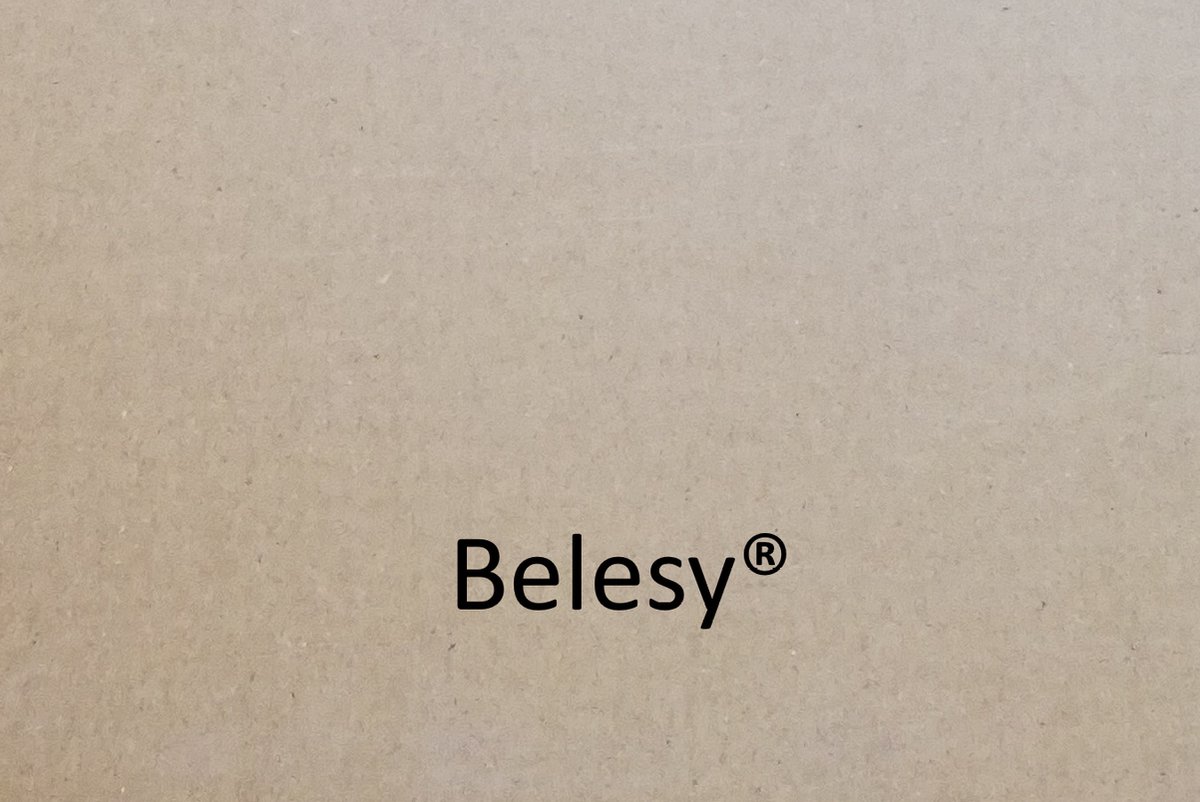 Belesy Beamer Projector M21