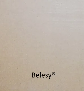 Belesy M35 Mini Beamer Wit Full HD