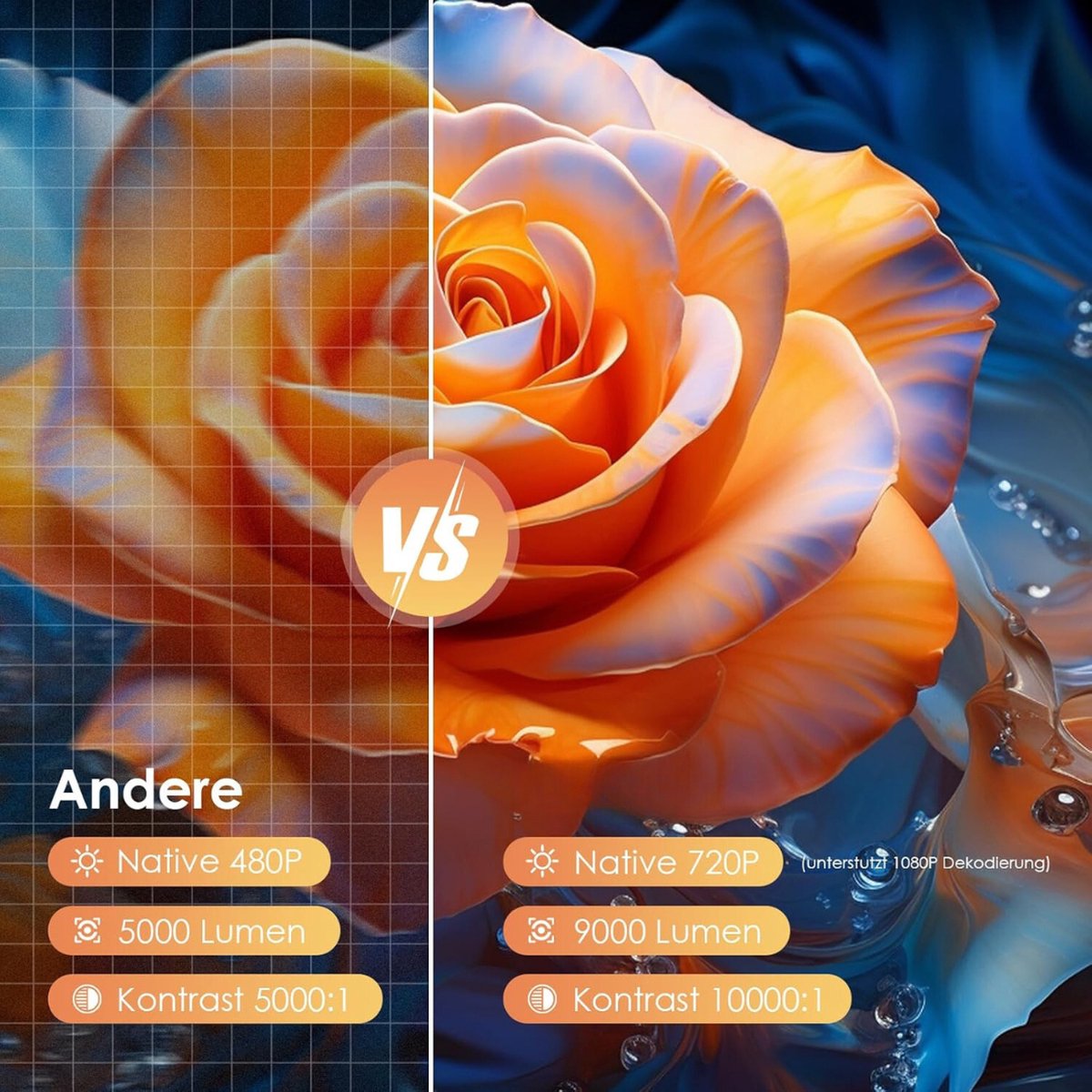 Conclusie