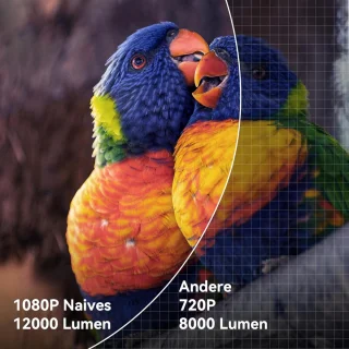 Lexium Mini projector inclusief beamerscherm