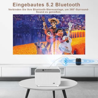 Mini Magneetborstel voor Aquarium