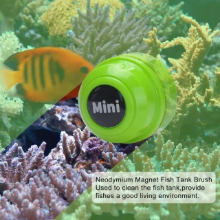 Mini Magneetborstel voor Aquarium