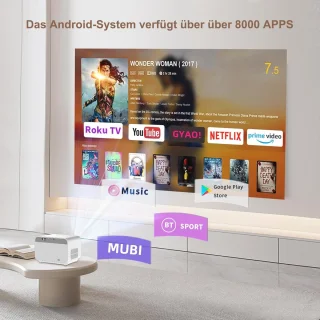 Mini Magneetborstel voor Aquarium