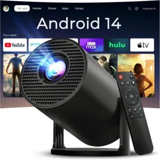 Mini projector