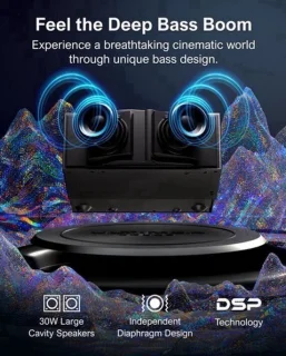 Mini projector