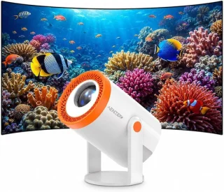 Mini projector wit