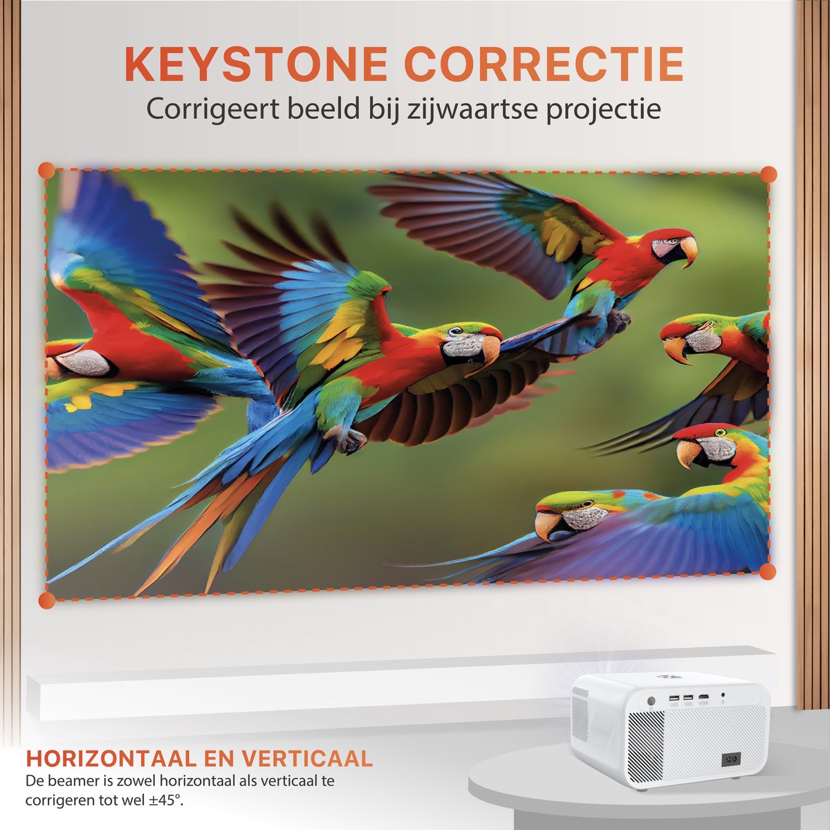 Reinfort Beamer Full HD Mini Projector