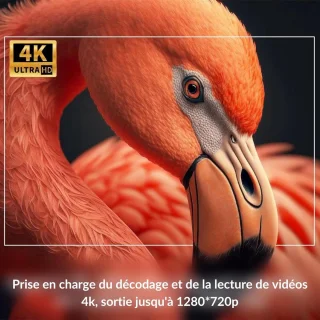SnelShoppen Portable projector