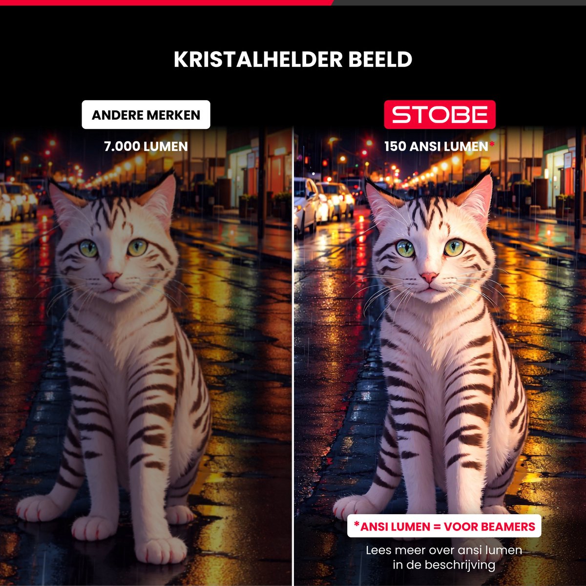 Advies voor kopers