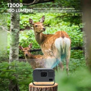 X2 Draagbare LCD-projector