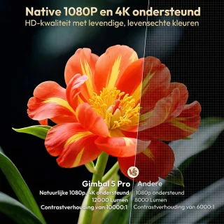 Wat vinden we minder goed