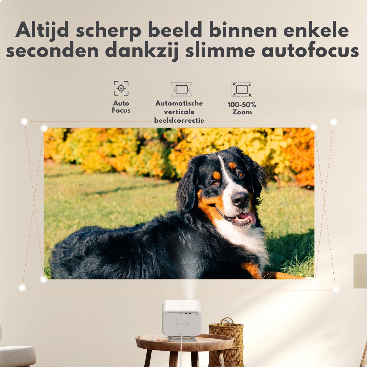 Advies voor kopers