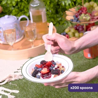 200 Houten Theelepels, Kleine Lepels voor Desserts, Kinderen, Feesten - Stevig en Milieuvriendelijk - Composteerbaar en Biologisch Afbreekbaar