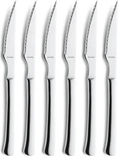 Amefa Chuletero Steakmessen Set van 6 RVS Zilver