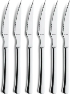 Amefa Chuletero Steakset 12-delig RVS zilver