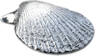 Anovi Luxe Zilvertinnen Amuse Schelpen Set 4