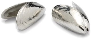 Wat vinden we minder goed