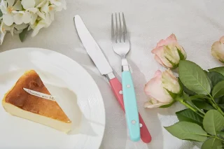 Bestekset 20-delig RVS met kleurhandvat retro stijl ShopVlot