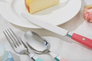 Bestekset 20-delig RVS met kleurhandvat retro stijl ShopVlot