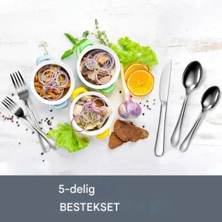 Bestekset RVS 5-delig Zilver Standaard