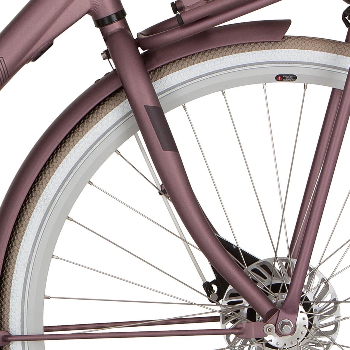 De Cortina Voorvork E-U4 Fam Spicy Silver Matt in één oogopslag