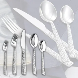 DailySupplies bestekset 12 personen