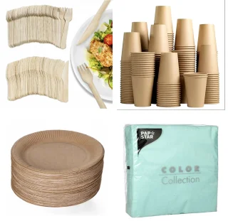 Eco Houten Wegwerp Bestek Set 500-delig inclusief Borden, Bekers en Servetten