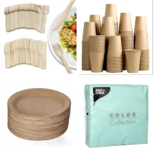 Eco Houten Wegwerp Bestek Set 500-delig inclusief Borden, Bekers en Servetten