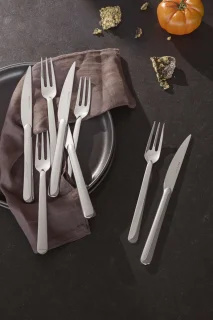 Eva Trio Legio Nova Grill Bestekset Zilver RVS