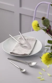 Gense Dorotea bestekset 16-delig mat staal