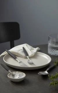 Gense Focus de Luxe Eetlepel 20 cm Zwart Matstaal