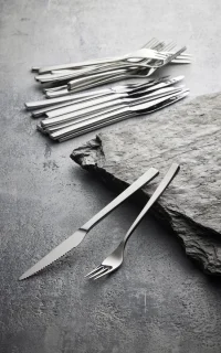 Gense Fuga Steakbestek 12-delig staal