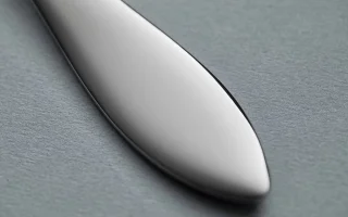 Gense Indra Eetlepel 21 cm staal glanzend
