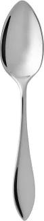Gense Indra Eetlepel 21 cm staal glanzend