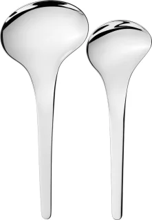 Georg Jensen Bloom Serveerset 2-delig