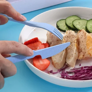 Herbruikbare Kunststof Bestekset Blauw