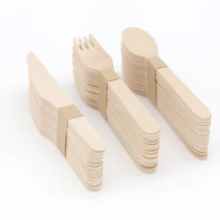 Jonyx Houten wegwerpbestekset 20-delig 16 cm
