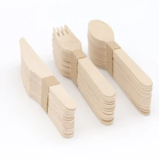 Jonyx Houten wegwerpbestekset 20-delig 16 cm