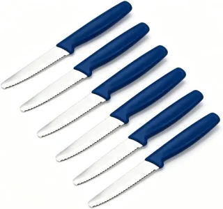 Ontbijtmessenset - Blauw - 6-delig - Roestvrij staal