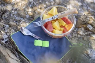 Opinel Picnic Plus 4-delig reisbestek RVS beukenhout