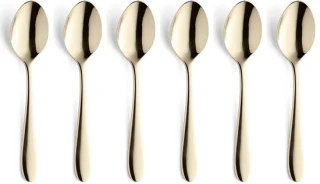 Oxford Pvd tafellepel champagne set 6