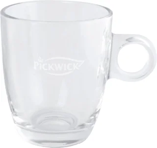 Pickwick Theeglazen 260 ml 6 stuks