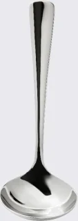 Robert Welch Malvern sauslepel rvs 16.6 cm