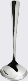 Robert Welch Malvern sauslepel rvs 16.6 cm