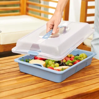 Rotho Fresh Partybutler Serveertray Blauw