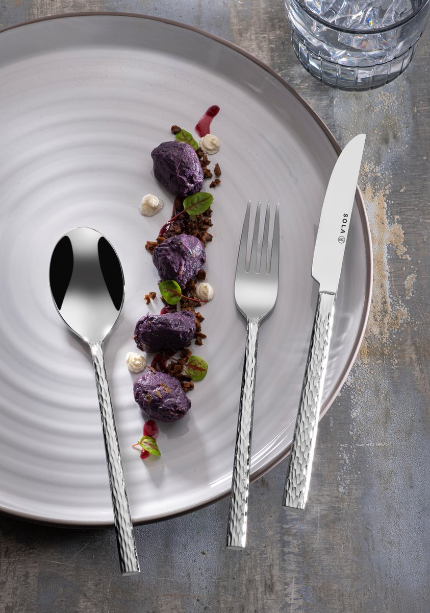 Wat vinden we goed aan de Sola Lausanne Bestekset 50-delig 6-persoons Zilver