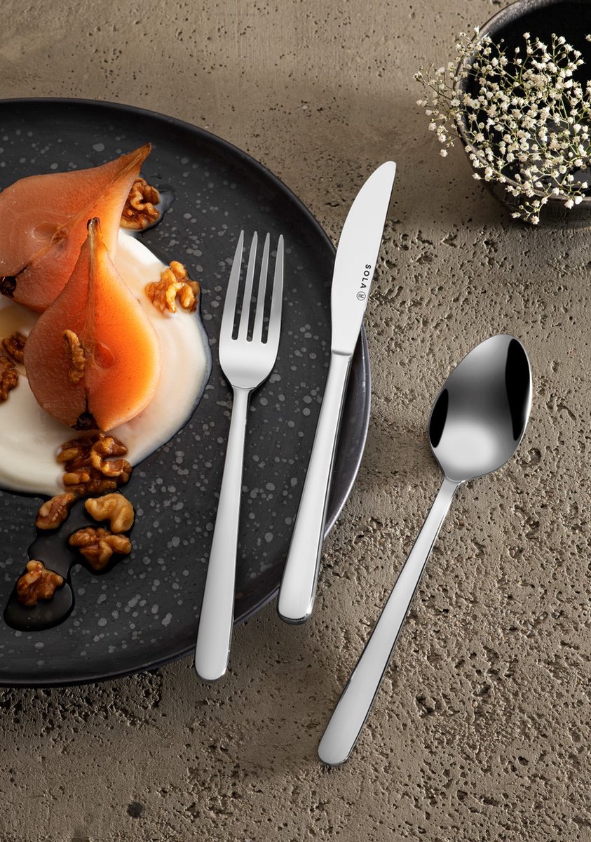 Wat vinden we goed aan de Sola Privilege Bestekset 90-delig Zilver 18/10 RVS