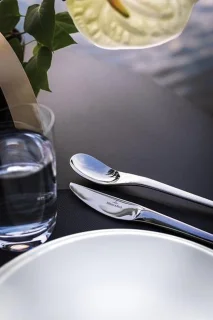 Villeroy & Boch NewMoon Bestekset 24-delig