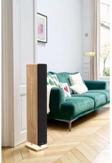 Bluetooth Sound Tower - THOMSON - Hout/Zwart - 120 W, Optisch, USB, Equalizer, TWS, Afstandsbediening, Voeding. 230V