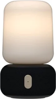 KREAFUNK aLOOMI Draadloze stereoluidspreker Zwart 6 W